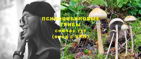 герыч Зеленодольск