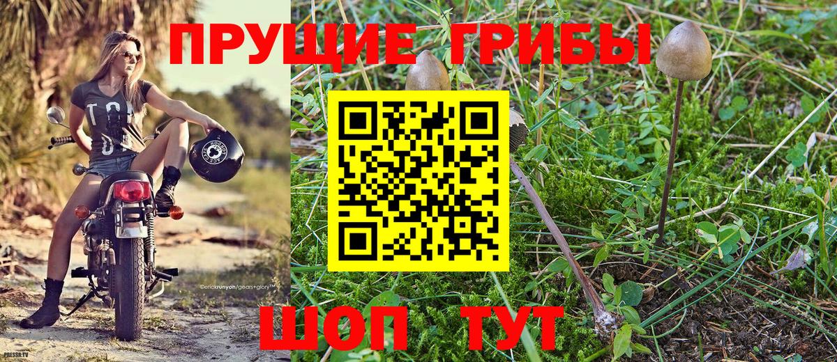 Галлюциногенные грибы ЛСД  Вход с VPN  Кострома 